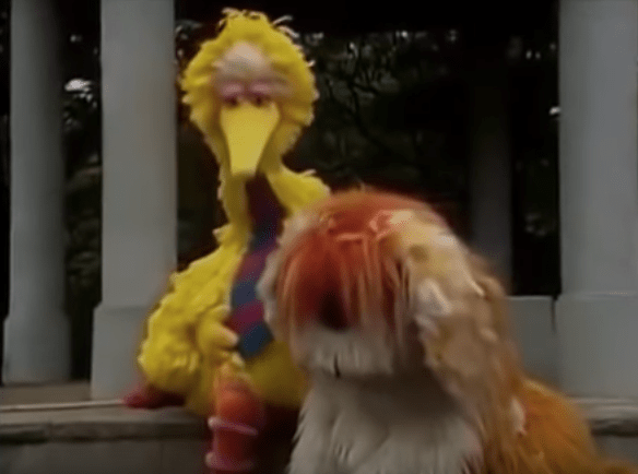 Screen Shot 2019-03-22 at 10.55.13 AM